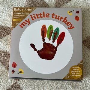 Baby’s Handprint Canvas Kit